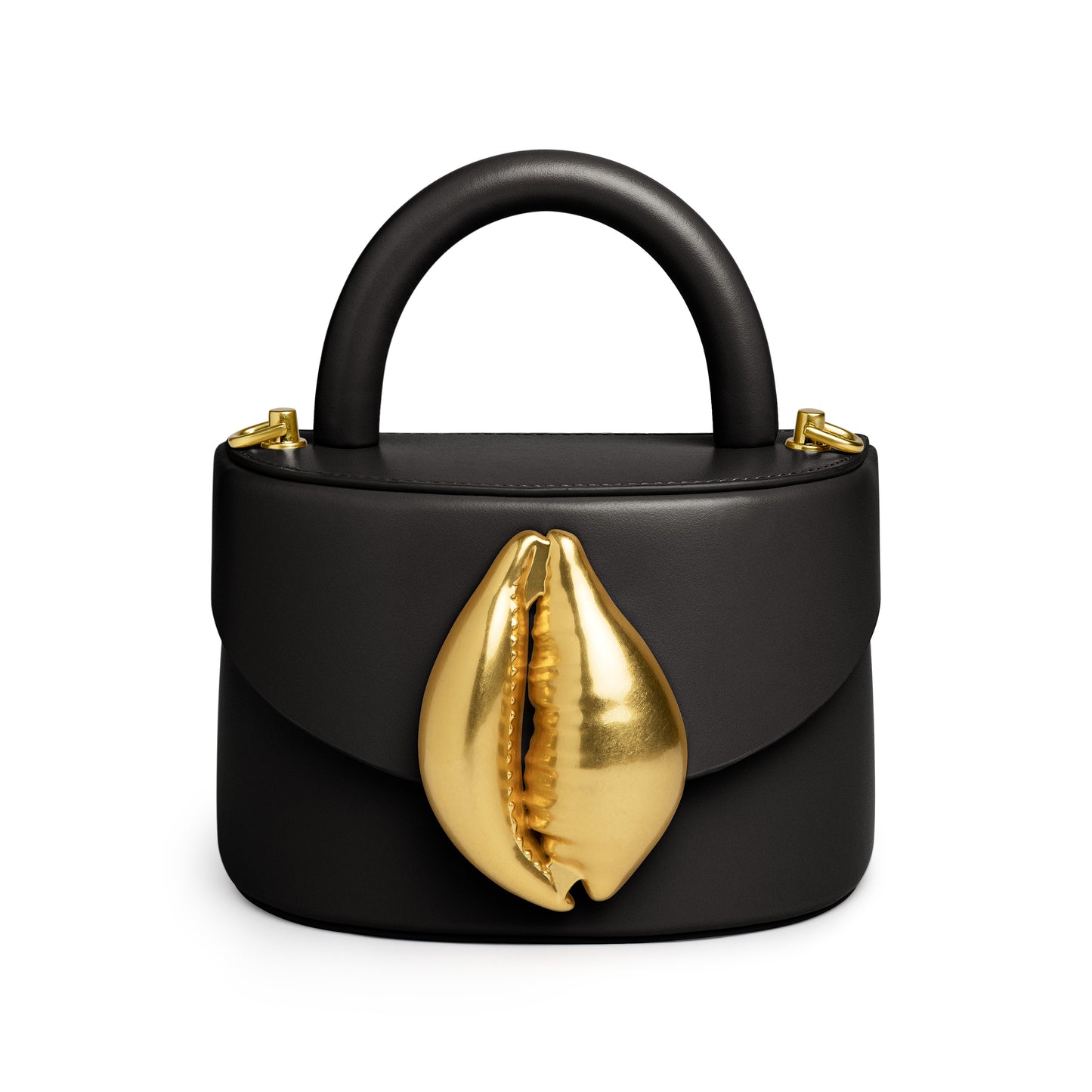 Viera Cowrie Shell