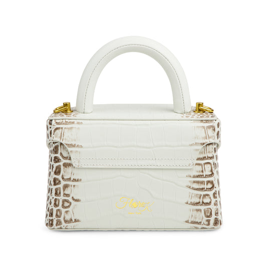 Himalayan Viera Cowrie Shell